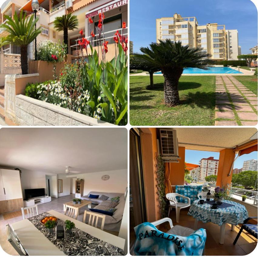 Apartamento Paradise Solo Familias Gandía Buitenkant foto
