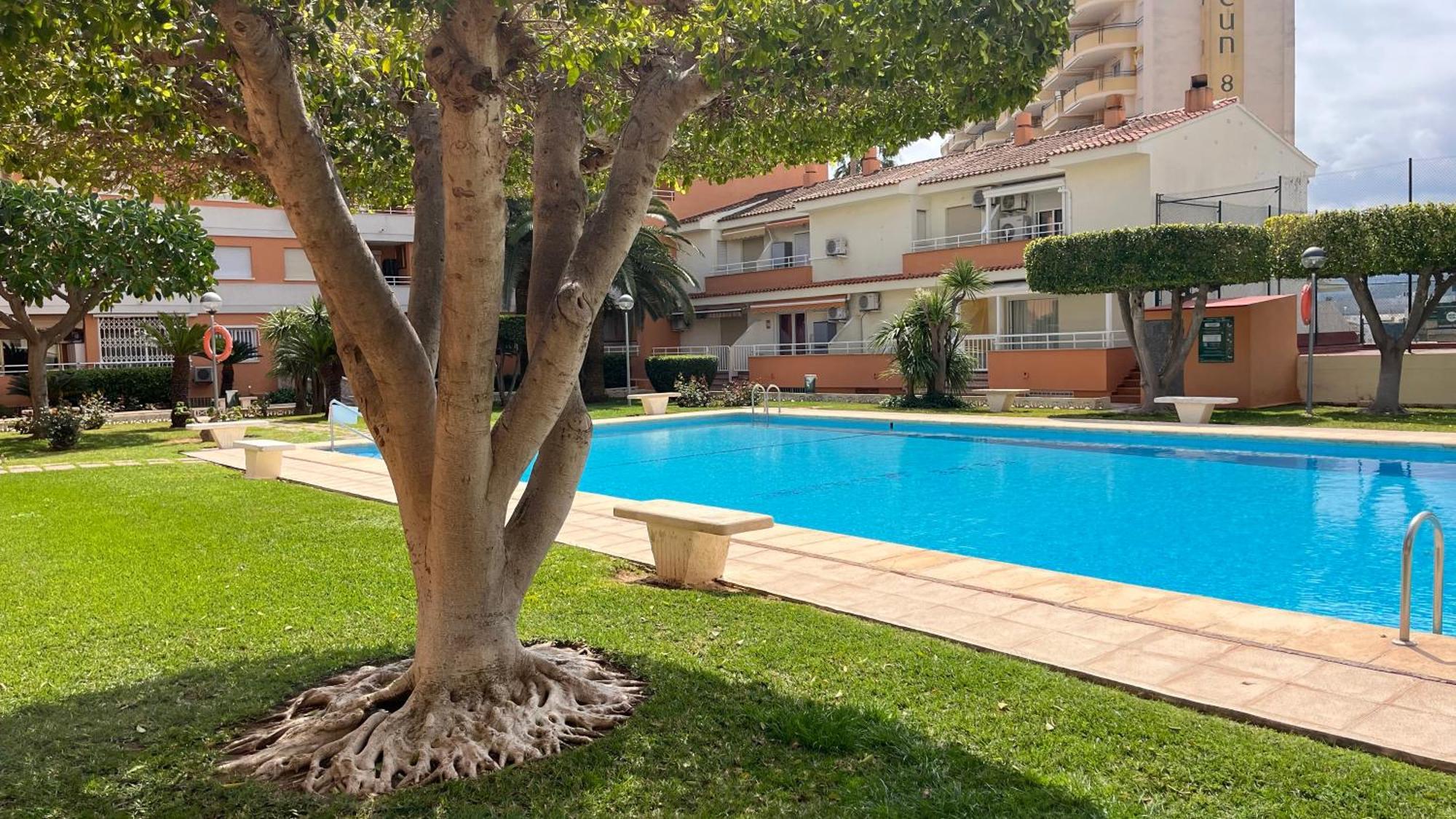 Apartamento Paradise Solo Familias Gandía Buitenkant foto